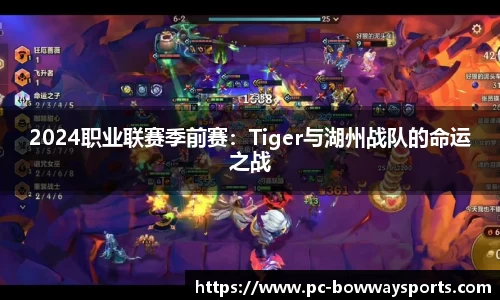 2024职业联赛季前赛：Tiger与湖州战队的命运之战